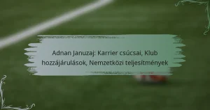 Adnan Januzaj: Karrier csúcsai, Klub hozzájárulások, Nemzetközi teljesítmények