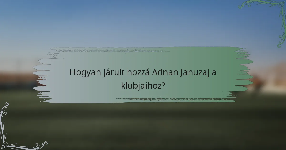 Hogyan járult hozzá Adnan Januzaj a klubjaihoz?