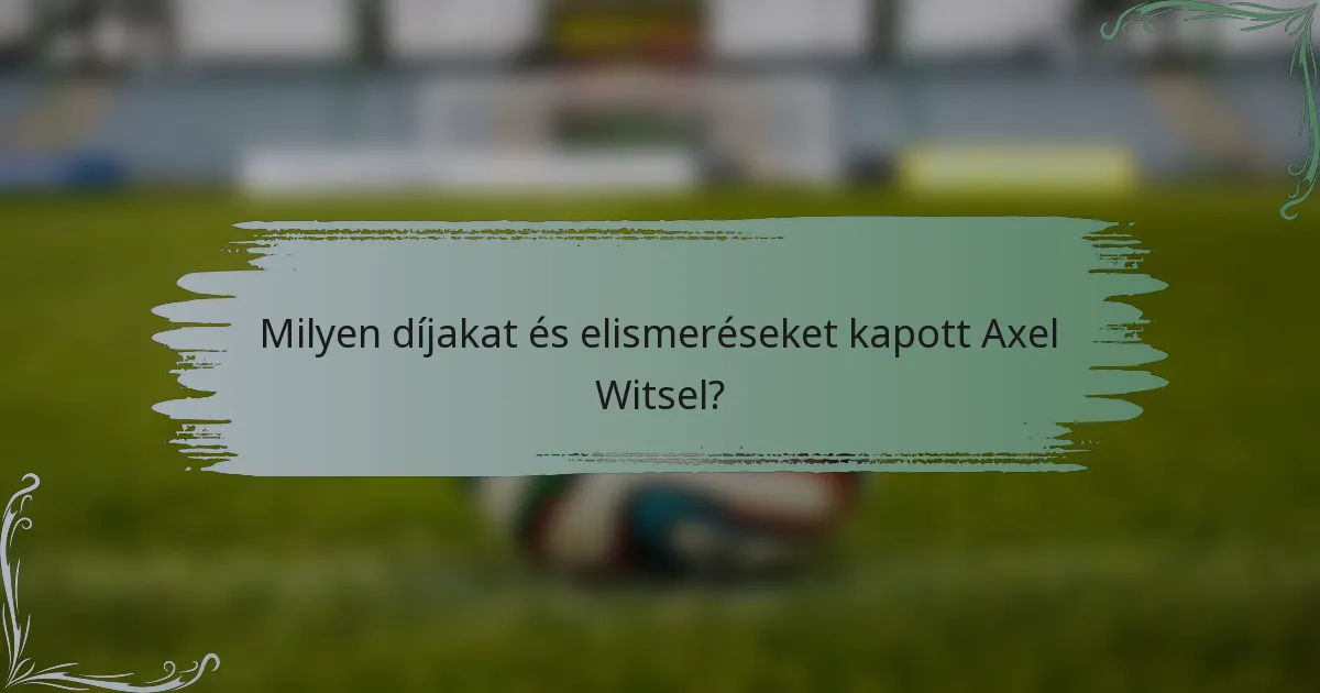 Milyen díjakat és elismeréseket kapott Axel Witsel?